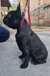 Slika 1