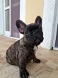 Slika 3