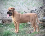 Slika 3