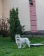 Slika 2
