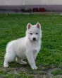 Slika 3