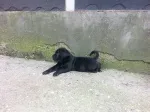 Slika 3