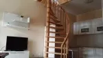 Slika 1