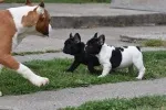 Slika 3