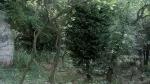 Slika 4