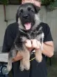 Slika 2