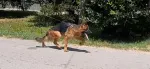 Slika 4