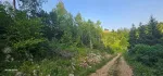 Slika 6