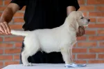 Slika 2