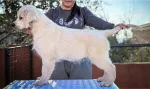 Slika 1
