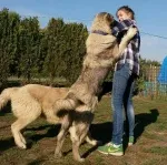 Slika 2