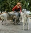Slika 3