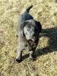 Slika 5