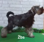 Slika 3