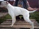 Slika 2
