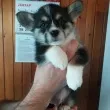 Slika 3