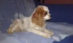 Slika 3