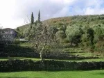 Slika 1