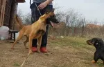 Slika 3