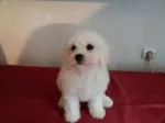 Slika 3
