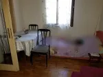 Slika 1