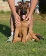 Slika 3