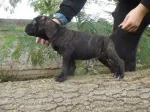 Slika 2