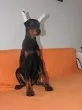 Slika 2