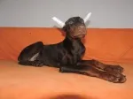 Slika 4