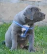 Slika 3