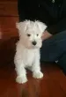 Slika 3