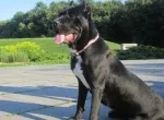 Slika 1