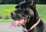 Slika 3