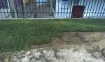 Slika 4