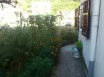 Slika 1