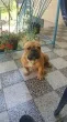 Slika 4