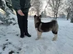 Slika 2