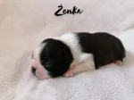 Slika 3