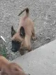 Slika 3