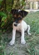Slika 2