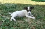 Slika 3