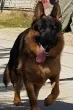 Slika 3