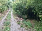 Slika 2
