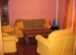 Slika 1