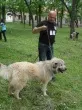 Slika 1