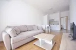 Slika 1