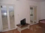 Slika 1