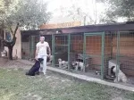 Slika 5