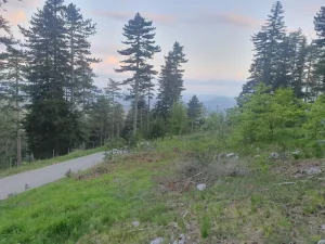 Slika 4