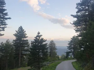 Slika 7